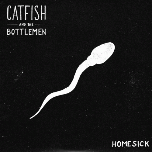 Catfish and the Bottlemen : Homesick